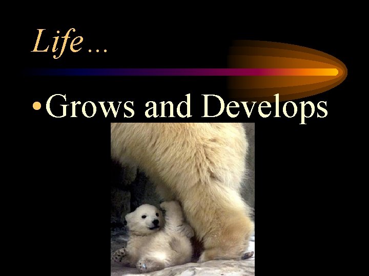 Life… • Grows and Develops 