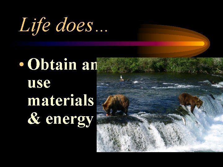 Life does… • Obtain and use materials & energy 