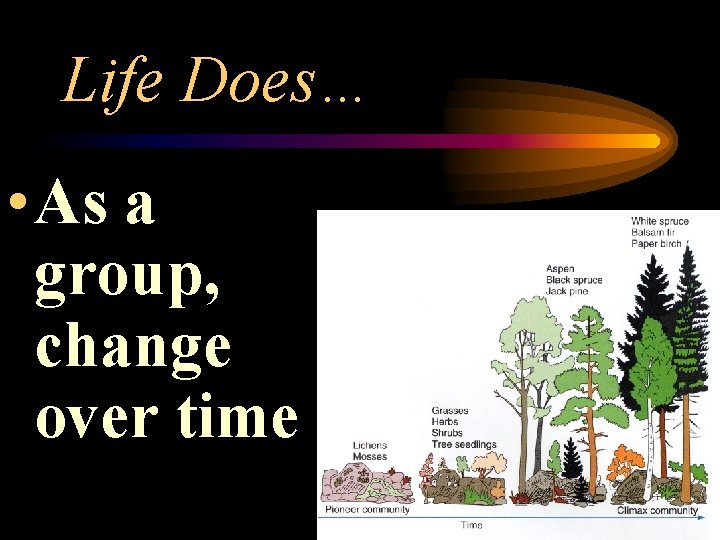 Life Does… • As a group, change over time 