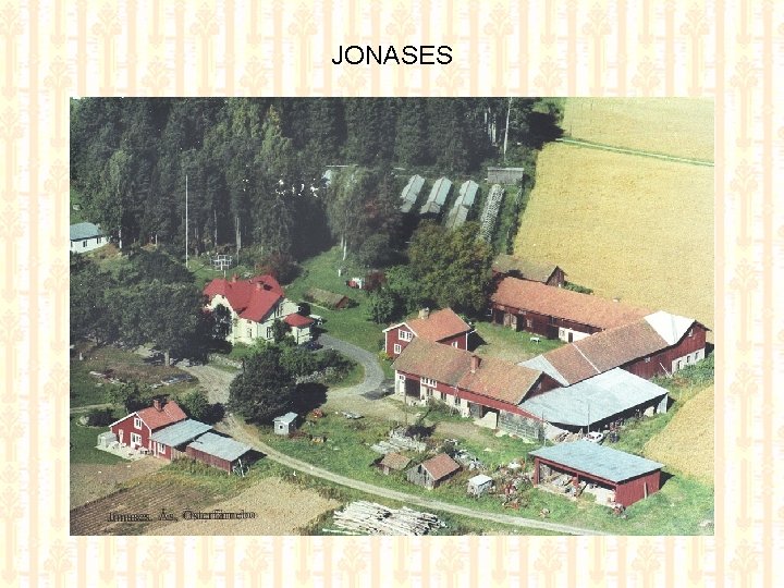 JONASES 