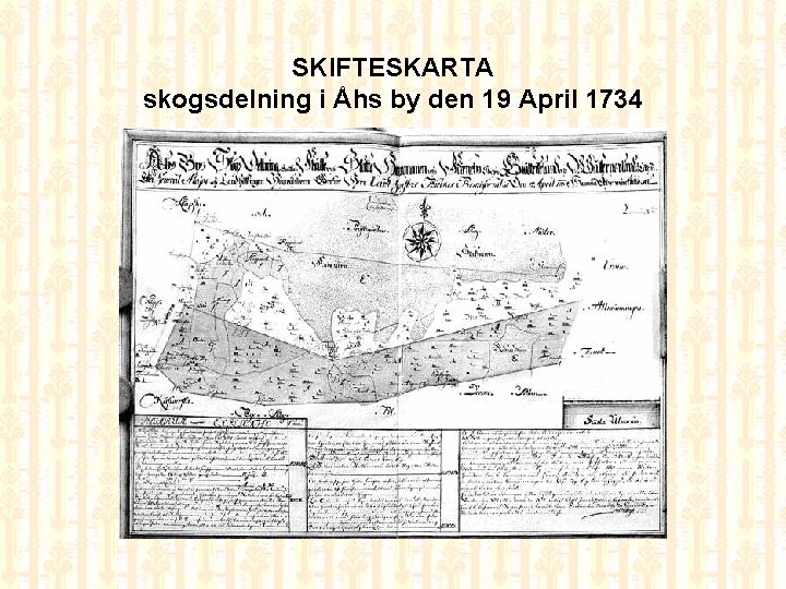 SKIFTESKARTA skogsdelning i Åhs by den 19 April 1734 