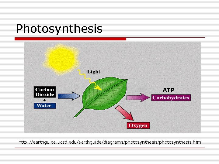 Photosynthesis ATP http: //earthguide. ucsd. edu/earthguide/diagrams/photosynthesis. html 