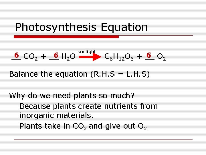Photosynthesis Equation 6 CO 2 + __ 6 H 2 O __ sunlight 6