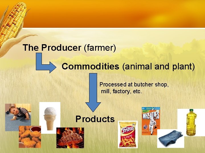 The Producer (farmer) Commodities (animal and plant) Processed at butcher shop, mill, factory, etc.