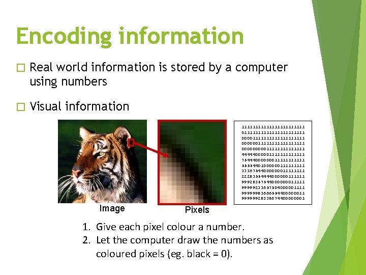 Encoding information � Real world information is stored by a computer using numbers �