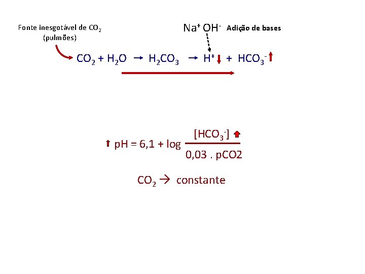 Na+ OH- Fonte inesgotável de CO 2 (pulmões) CO 2 + H 2 O