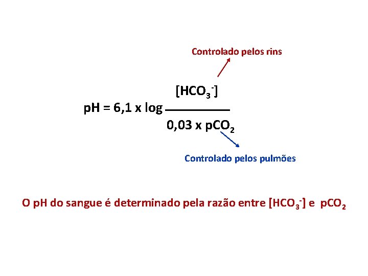 Controlado pelos rins p. H = 6, 1 x log [HCO 3 -] 0,