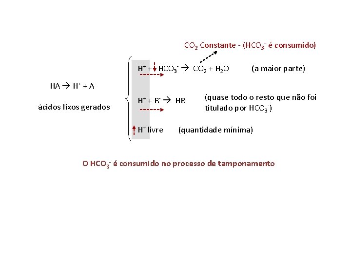CO 2 Constante - (HCO 3 - é consumido) H+ + HCO 3 -