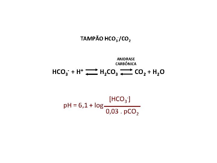 TAMPÃO HCO 3 -/CO 2 ANIDRASE CARBÔNICA HCO 3 - + H+ H 2