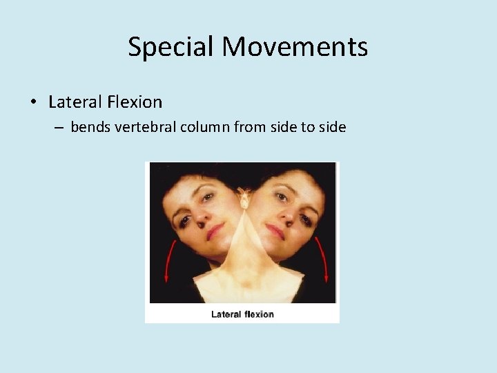 Special Movements • Lateral Flexion – bends vertebral column from side to side 
