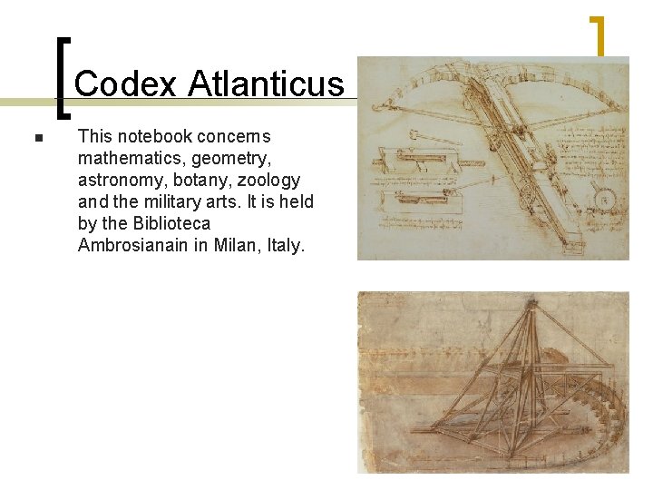 Codex Atlanticus n This notebook concerns mathematics, geometry, astronomy, botany, zoology and the military