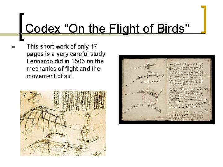 Codex "On the Flight of Birds" n This short work of only 17 pages