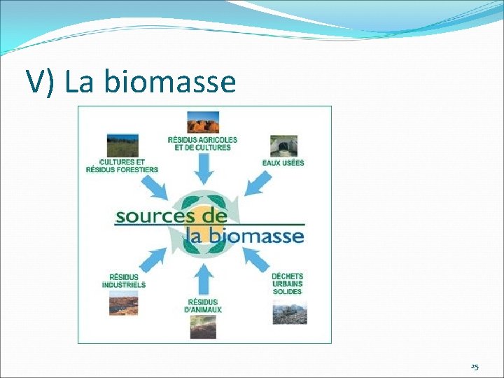 V) La biomasse 25 