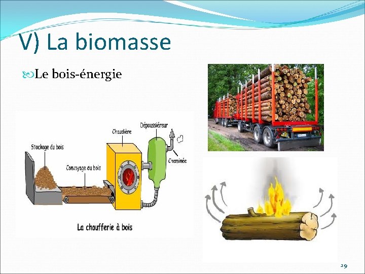 V) La biomasse Le bois-énergie 29 