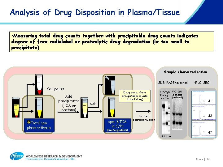 Analysis of Drug Disposition in Plasma/Tissue • Measuring total drug counts together with precipitable