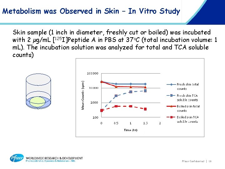 Metabolism was Observed in Skin – In Vitro Study Skin sample (1 inch in