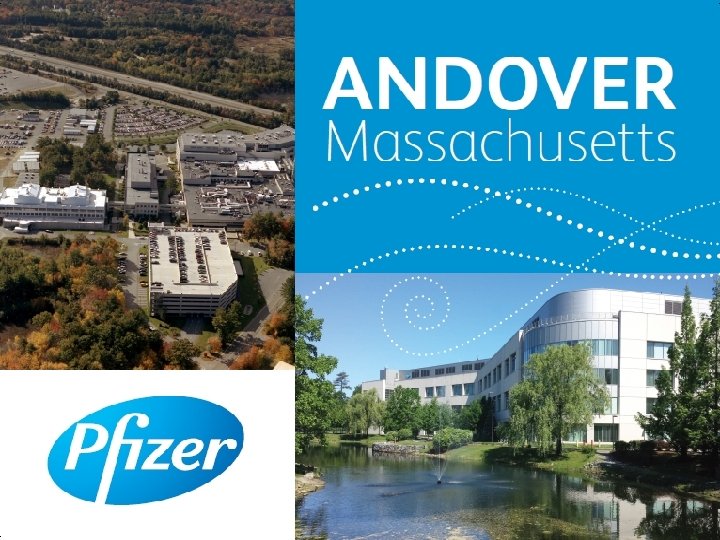 Pfizer Confidential │ 21 