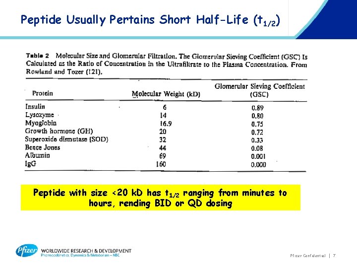 Peptide Usually Pertains Short Half-Life (t 1/2) Peptide with size <20 k. D has