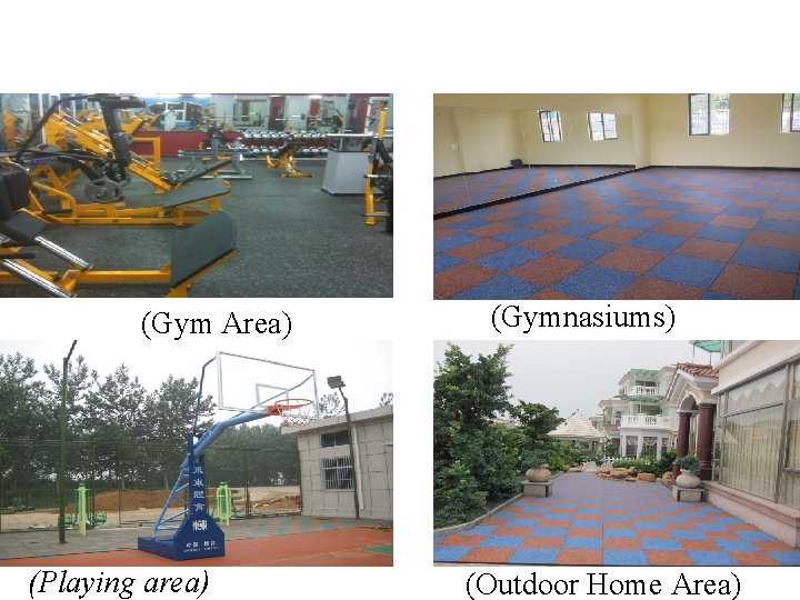 (Gym Area) (Playing area) (Gymnasiums) (Outdoor Home Area) 