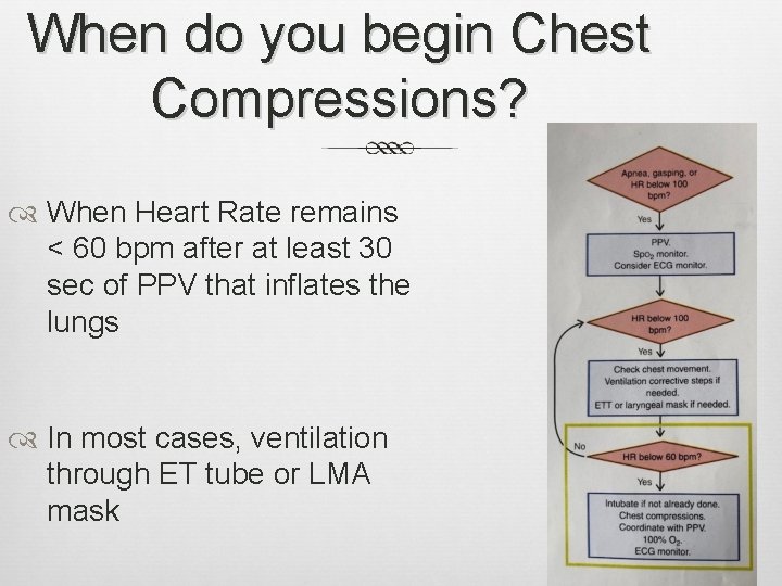When do you begin Chest Compressions? When Heart Rate remains < 60 bpm after When do you begin Chest Compressions? When Heart Rate remains < 60 bpm after