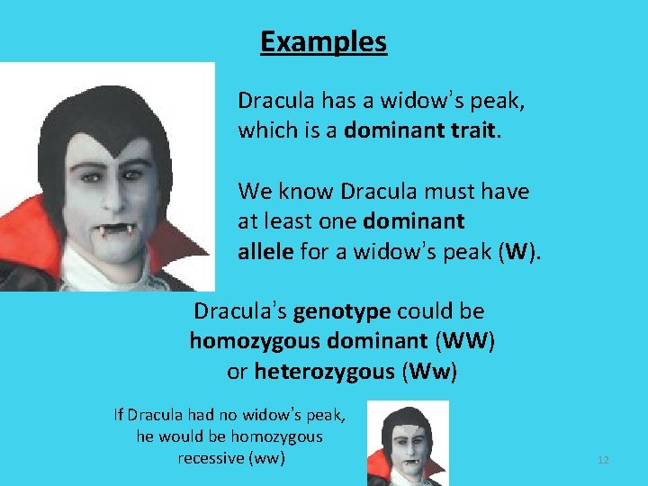Examples Dracula has a widow’s peak, which is a dominant trait. We know Dracula