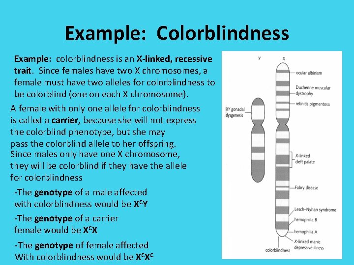 Example: Colorblindness Example: colorblindness is an X-linked, recessive trait. Since females have two X