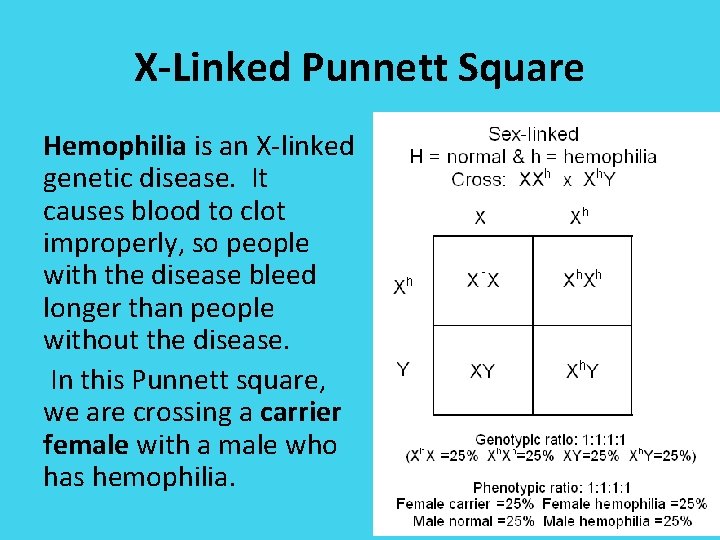 X-Linked Punnett Square Hemophilia is an X-linked genetic disease. It causes blood to clot