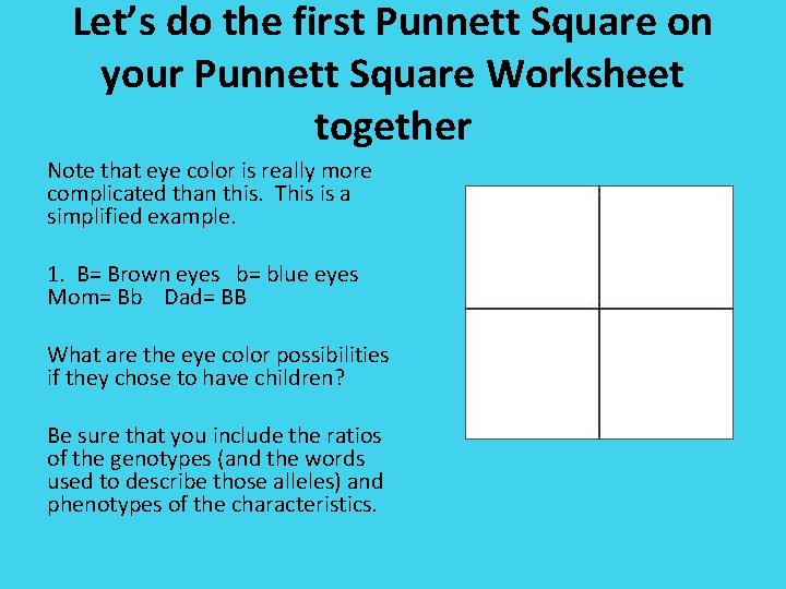 Let’s do the first Punnett Square on your Punnett Square Worksheet together Note that