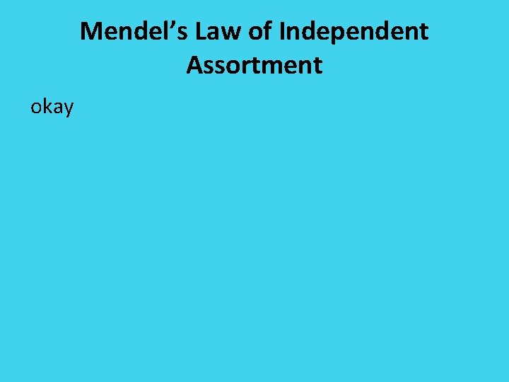 Mendel’s Law of Independent Assortment okay 