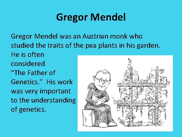 Gregor Mendel was an Austrian monk who studied the traits of the pea plants