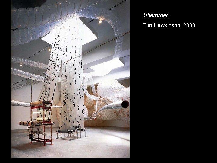 Uberorgan. Tim Hawkinson. 2000 