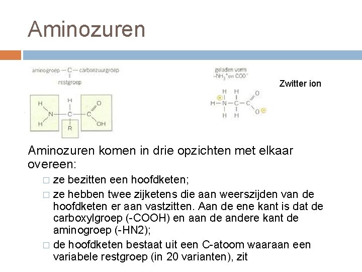 Aminozuren Zwitter ion Aminozuren komen in drie opzichten met elkaar overeen: ze bezitten een