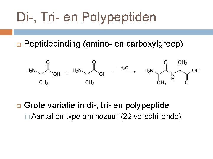 Di-, Tri- en Polypeptiden Peptidebinding (amino- en carboxylgroep) Grote variatie in di-, tri- en