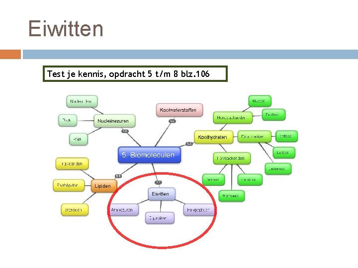 Eiwitten Test je kennis, opdracht 5 t/m 8 blz. 106 