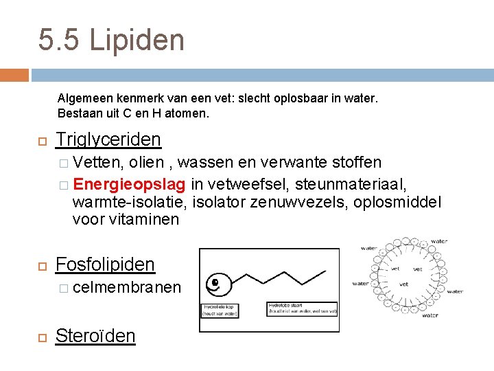 5. 5 Lipiden Algemeen kenmerk van een vet: slecht oplosbaar in water. Bestaan uit