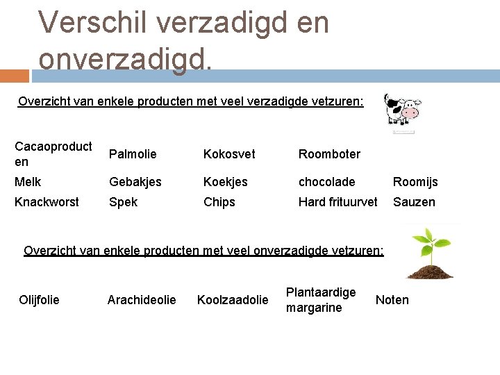 Verschil verzadigd en onverzadigd. Overzicht van enkele producten met veel verzadigde vetzuren: Cacaoproduct en