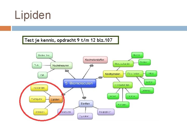 Lipiden Test je kennis, opdracht 9 t/m 12 blz. 107 