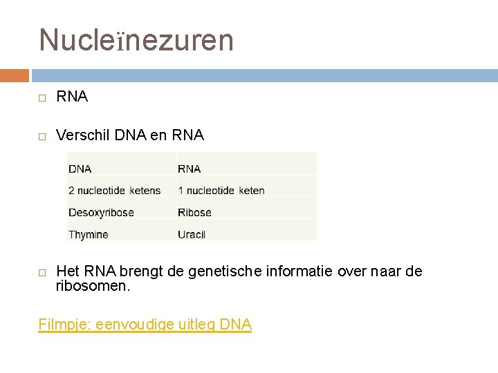 Nucleïnezuren RNA Verschil DNA en RNA Het RNA brengt de genetische informatie over naar