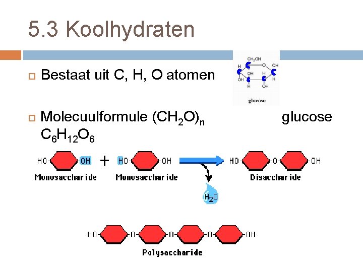 5. 3 Koolhydraten Bestaat uit C, H, O atomen Molecuulformule (CH 2 O)n C