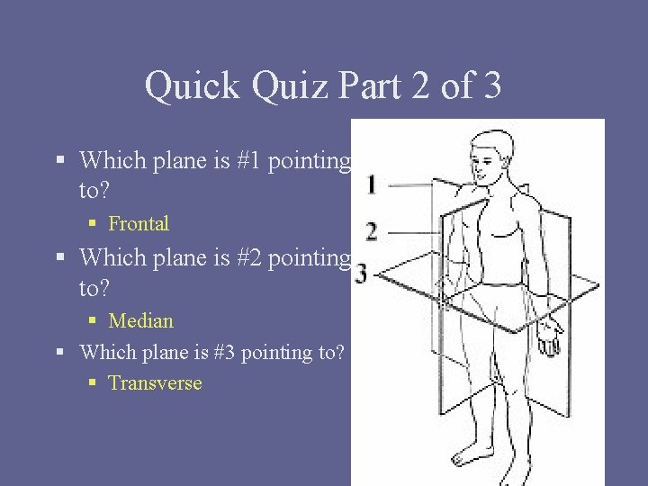 Quick Quiz Part 2 of 3 § Which plane is #1 pointing to? §