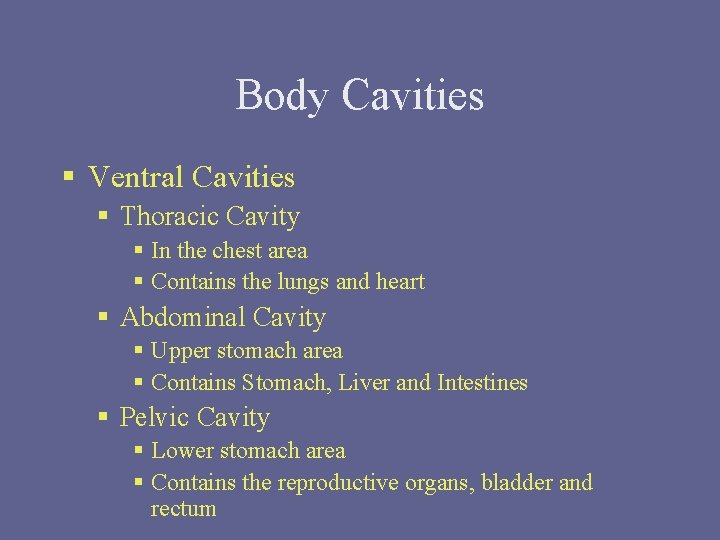 Body Cavities § Ventral Cavities § Thoracic Cavity § In the chest area §