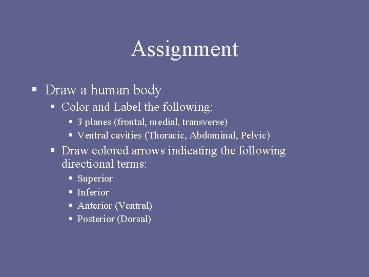 Assignment § Draw a human body § Color and Label the following: § 3