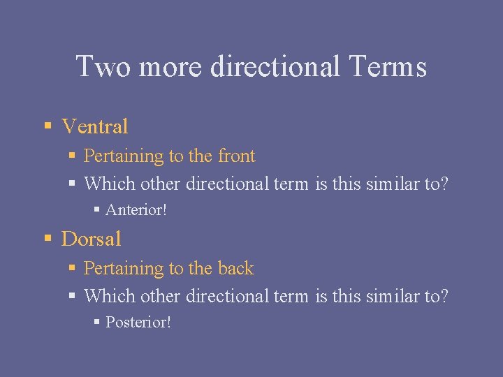 Two more directional Terms § Ventral § Pertaining to the front § Which other