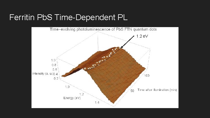 Ferritin Pb. S Time-Dependent PL 1. 2 e. V 