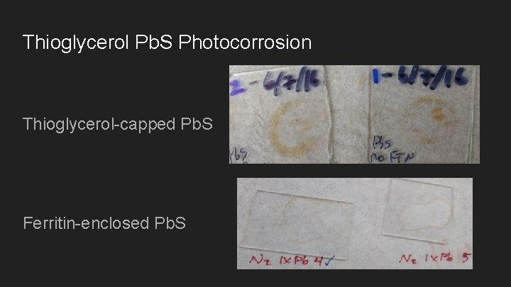 Thioglycerol Pb. S Photocorrosion Thioglycerol-capped Pb. S Ferritin-enclosed Pb. S 