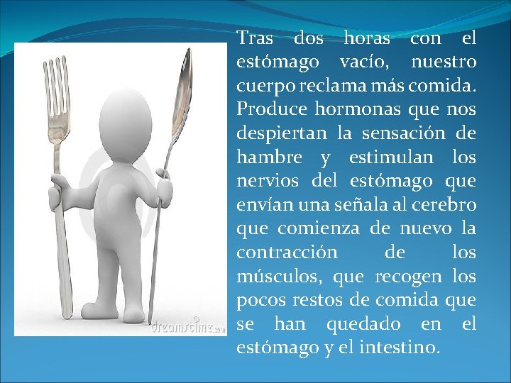 Tras dos horas con el estómago vacío, nuestro cuerpo reclama más comida. Produce hormonas