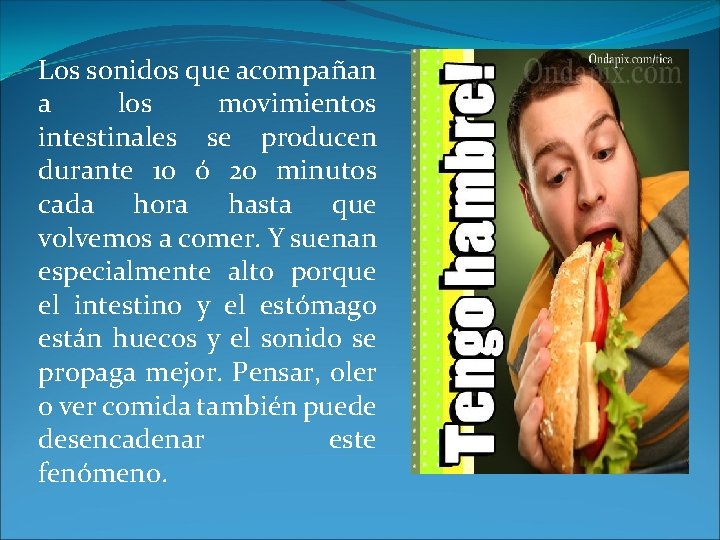 Los sonidos que acompañan a los movimientos intestinales se producen durante 10 ó 20