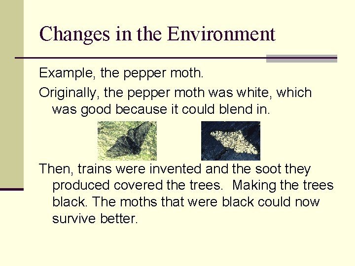Changes in the Environment Example, the pepper moth. Originally, the pepper moth was white,