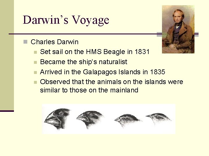 Darwin’s Voyage n Charles Darwin n n Set sail on the HMS Beagle in