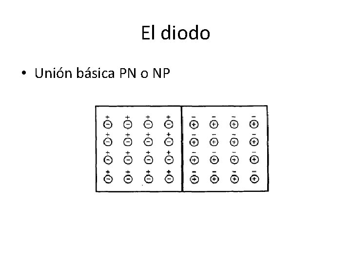 El diodo • Unión básica PN o NP 